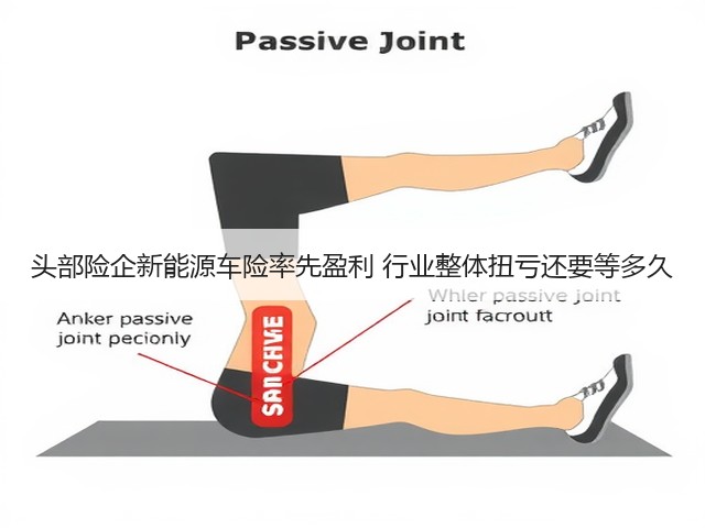 头部险企新能源车险率先盈利 行业整体扭亏还要等多久(图3)