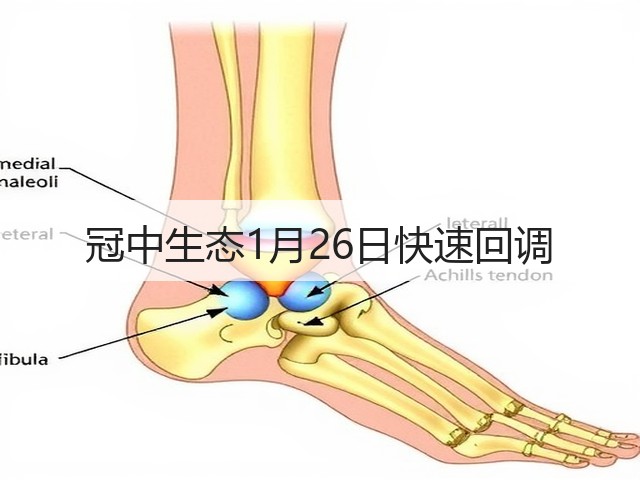 冠中生态1月26日快速回调(图3) 冠中生态1月26日快速回调(图3)