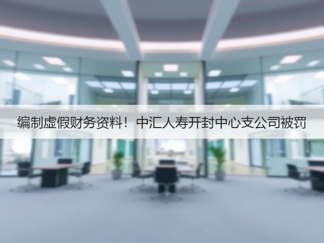 编制虚假财务资料!中汇人寿开封中心支公司被罚(图3) 编制虚假财务资料!中汇人寿开封中心支公司被罚(图3)