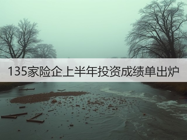 135家险企上半年投资成绩单出炉(图1)