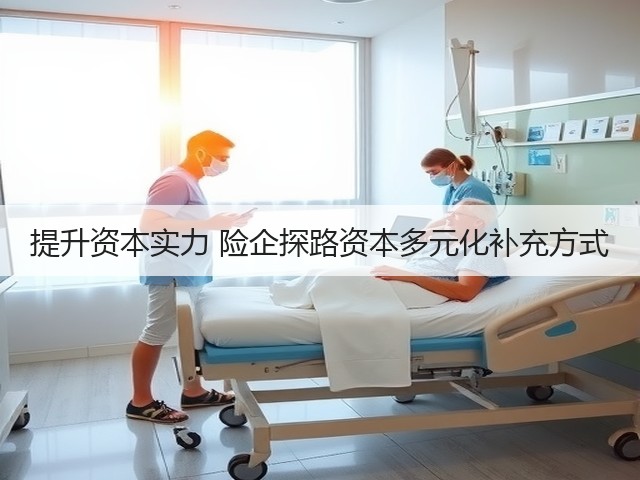 提升资本实力 险企探路资本多元化补充方式(图1) 提升资本实力 险企探路资本多元化补充方式(图1)