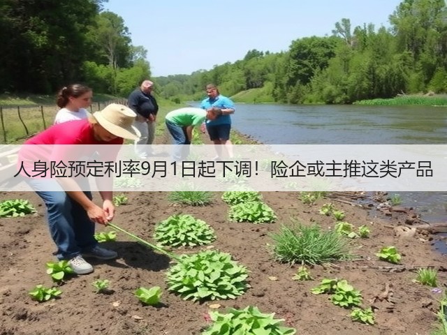 人身险预定利率9月1日起下调!险企或主推这类产品(图3) 人身险预定利率9月1日起下调!险企或主推这类产品(图3)