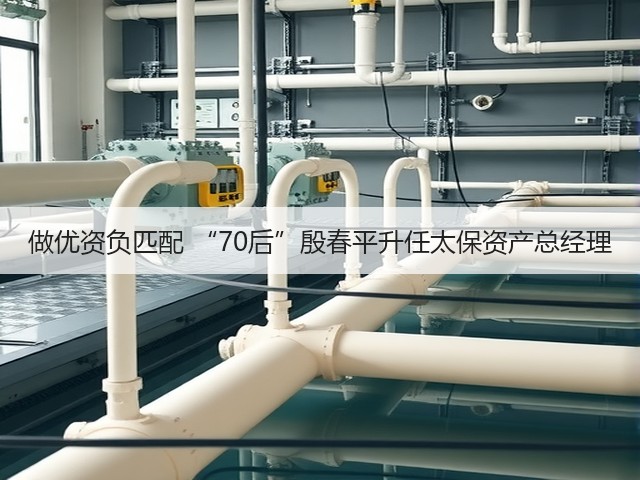 做优资负匹配 “70后”殷春平升任太保资产总经理(图2) 做优资负匹配 “70后”殷春平升任太保资产总经理(图2)