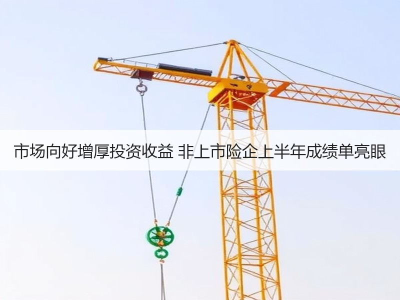 市场向好增厚投资收益 非上市险企上半年成绩单亮眼