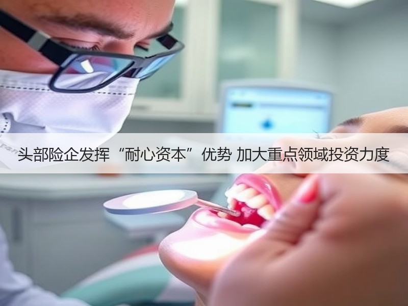 头部险企发挥“耐心资本”优势 加大重点领域投资力度