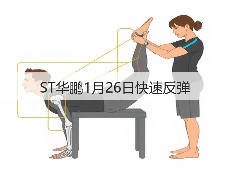 ST华鹏1月26日快速反弹