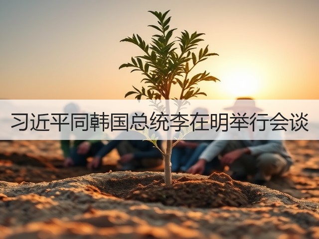 习近平同韩国总统李在明举行会谈(图3) 习近平同韩国总统李在明举行会谈(图3)