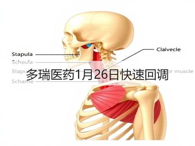 多瑞医药1月26日快速回调(图1) 多瑞医药1月26日快速回调(图1)