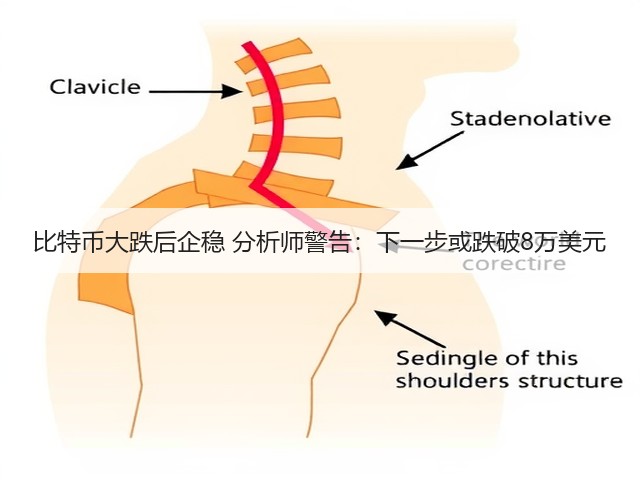 比特币大跌后企稳 分析师警告:下一步或跌破8万美元(图1) 比特币大跌后企稳 分析师警告:下一步或跌破8万美元(图1)