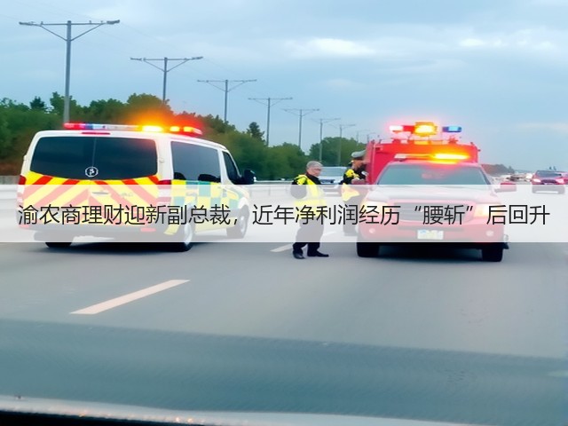 渝农商理财迎新副总裁,近年净利润经历“腰斩”后回升(图1) 渝农商理财迎新副总裁,近年净利润经历“腰斩”后回升(图1)