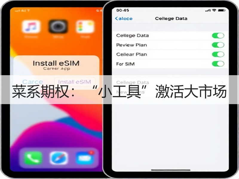菜系期权：“小工具”激活大市场