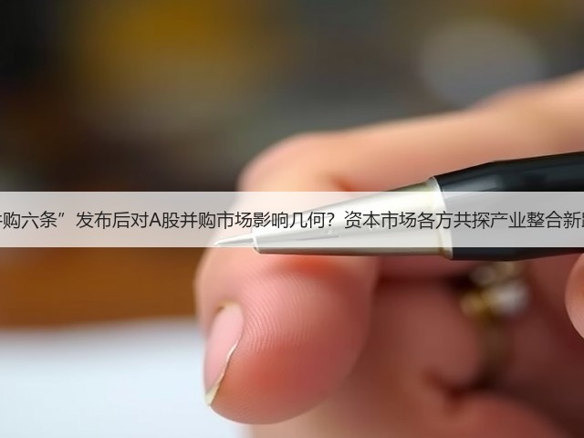 “并购六条”发布后对A股并购市场影响几何?资本市场各方共探产业整合新路径(图3) “并购六条”发布后对A股并购市场影响几何?资本市场各方共探产业整合新路径(图3)