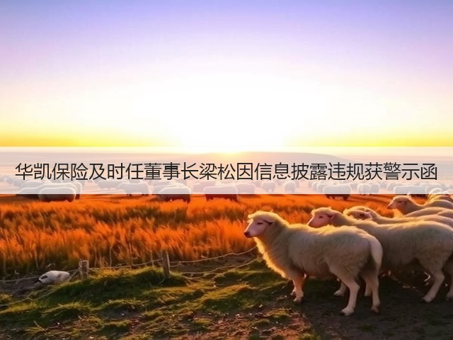 华凯保险及时任董事长梁松因信息披露违规获警示函(图2)
