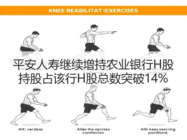 平安人寿继续增持农业银行H股 持股占该行H股总数突破14%(图3)