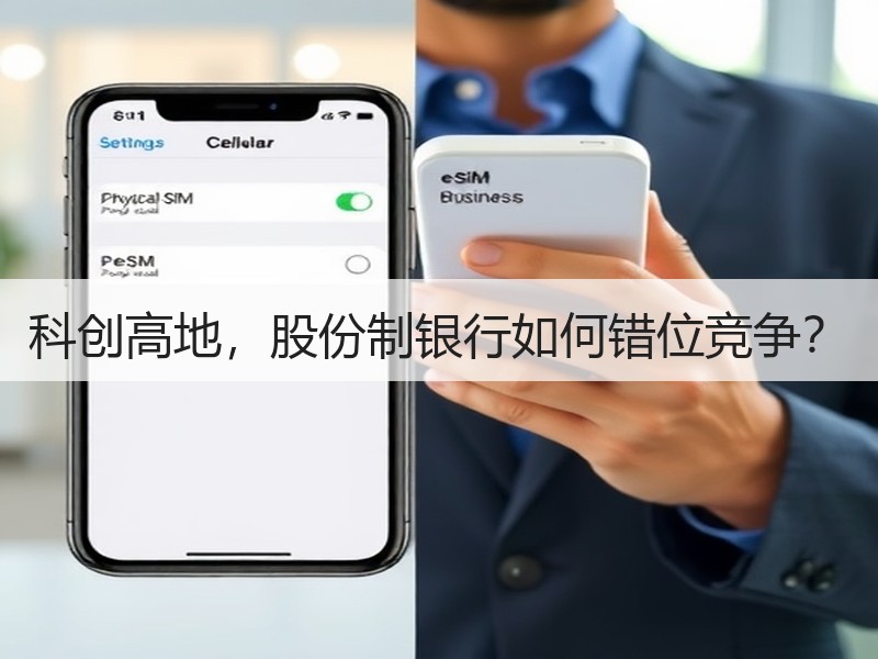 科创高地，股份制银行如何错位竞争？