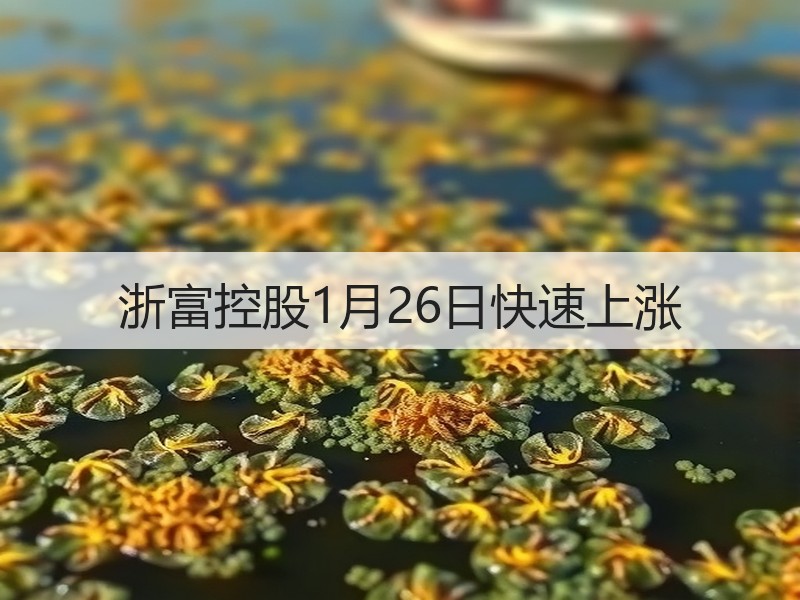 浙富控股1月26日快速上涨