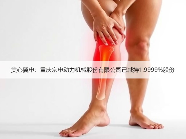 美心翼申：重庆宗申动力机械股份有限公司已减持1.9999%股份(图3)