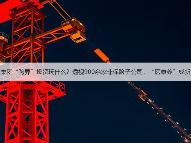 保险集团“跨界”投资玩什么?透视900余家非保险子公司:“医康养”成新高地(图3) 保险集团“跨界”投资玩什么?透视900余家非保险子公司:“医康养”成新高地(图3)