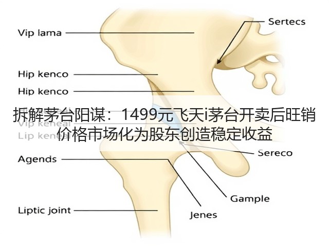 拆解茅台阳谋:1499元飞天i茅台开卖后旺销 价格市场化为股东创造稳定收益(图2) 拆解茅台阳谋:1499元飞天i茅台开卖后旺销 价格市场化为股东创造稳定收益(图2)