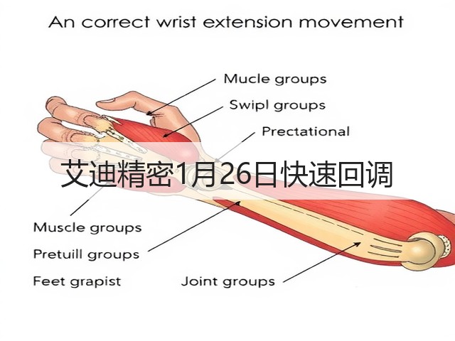 艾迪精密1月26日快速回调(图2) 艾迪精密1月26日快速回调(图2)