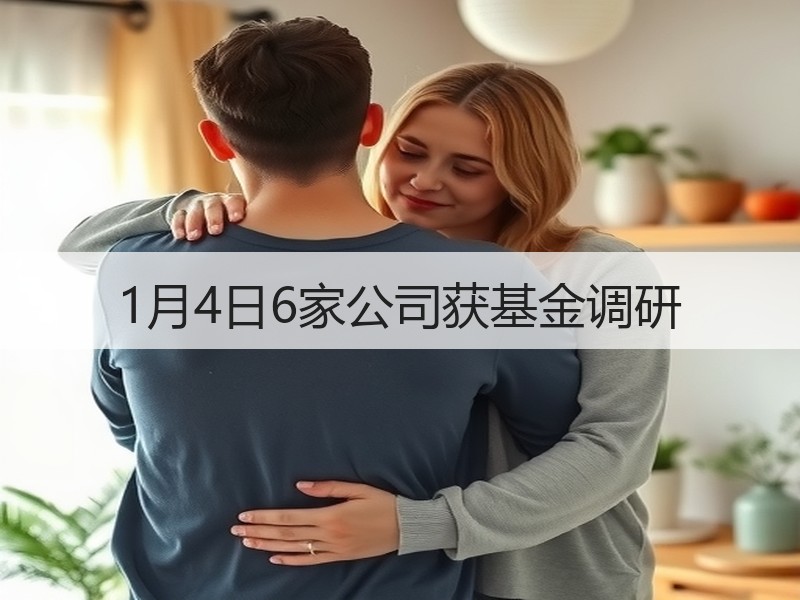 1月4日6家公司获基金调研