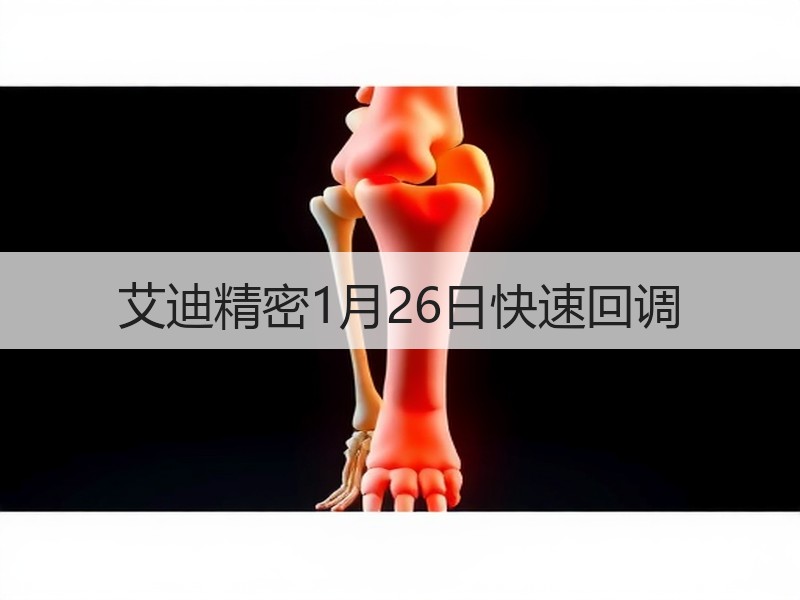 艾迪精密1月26日快速回调