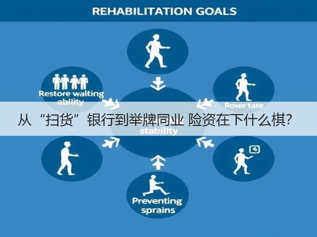 从“扫货”银行到举牌同业 险资在下什么棋？(图3)