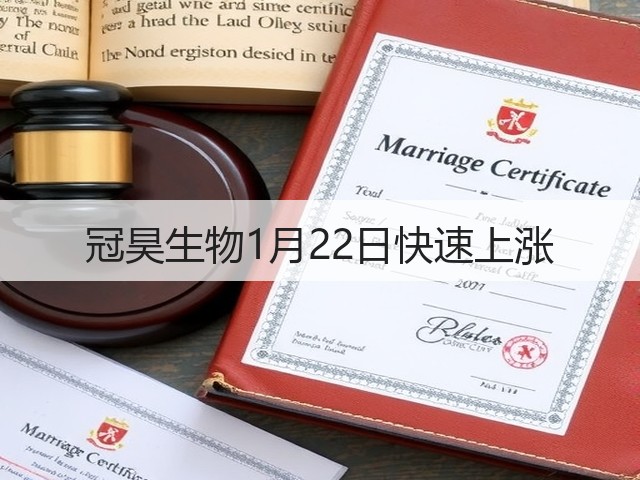 冠昊生物1月22日快速上涨(图1)