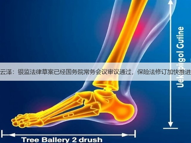 李云泽：银监法律草案已经国务院常务会议审议通过，保险法修订加快推进中(图1)
