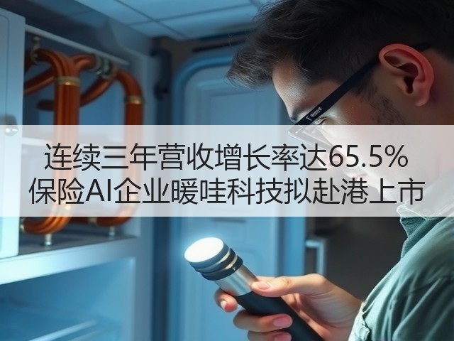 连续三年营收增长率达65.5% 保险AI企业暖哇科技拟赴港上市(图2) 连续三年营收增长率达65.5% 保险AI企业暖哇科技拟赴港上市(图2)