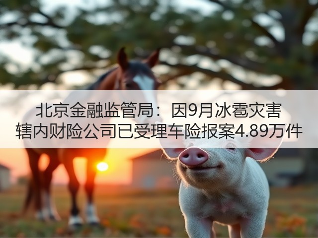 北京金融监管局：因9月冰雹灾害 辖内财险公司已受理车险报案4.89万件(图2)