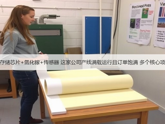 机构调研丨存储芯片+氮化镓+传感器 这家公司产线满载运行且订单饱满 多个核心项目实现突破(图2) 机构调研丨存储芯片+氮化镓+传感器 这家公司产线满载运行且订单饱满 多个核心项目实现突破(图2)