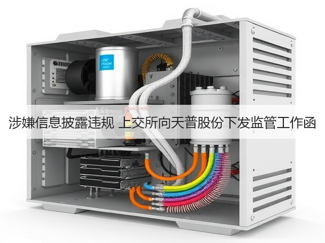 涉嫌信息披露违规 上交所向天普股份下发监管工作函(图3)