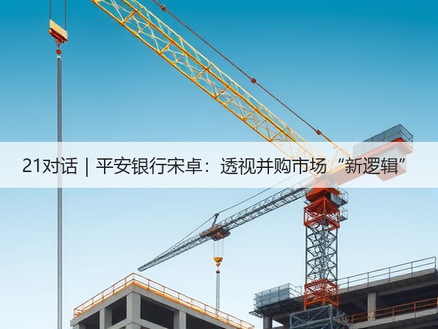 21对话|平安银行宋卓:透视并购市场“新逻辑”(图2) 21对话|平安银行宋卓:透视并购市场“新逻辑”(图2)
