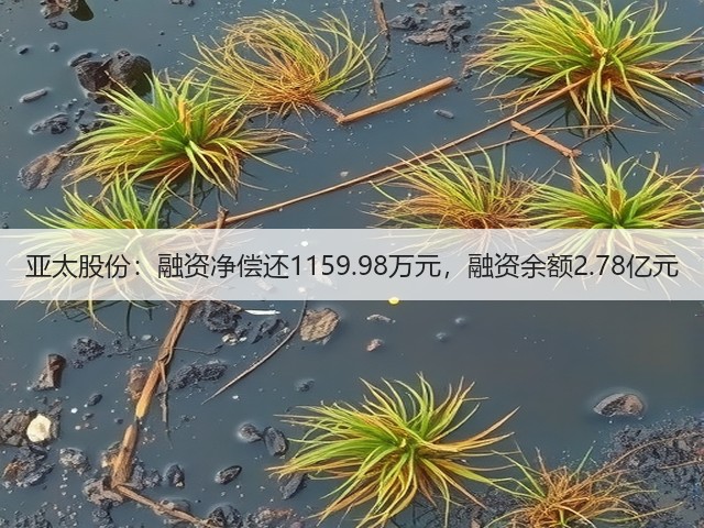 亚太股份：融资净偿还1159.98万元，融资余额2.78亿元(图2)