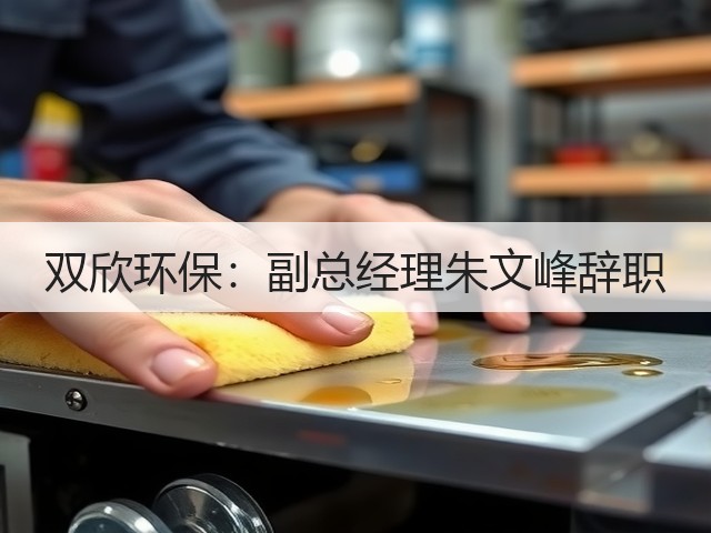 双欣环保：副总经理朱文峰辞职(图3)