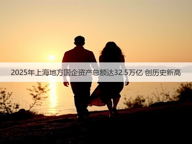 2025年上海地方国企资产总额达32.5万亿 创历史新高(图3) 2025年上海地方国企资产总额达32.5万亿 创历史新高(图3)