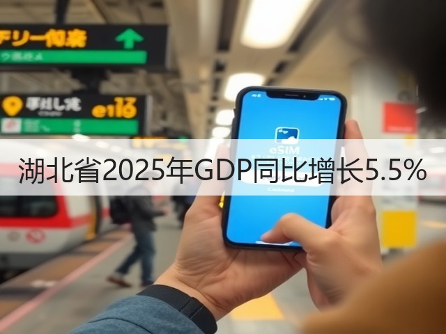 湖北省2025年GDP同比增长5.5%(图3)