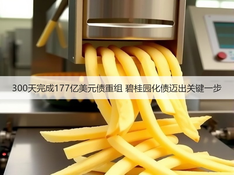 300天完成177亿美元债重组 碧桂园化债迈出关键一步