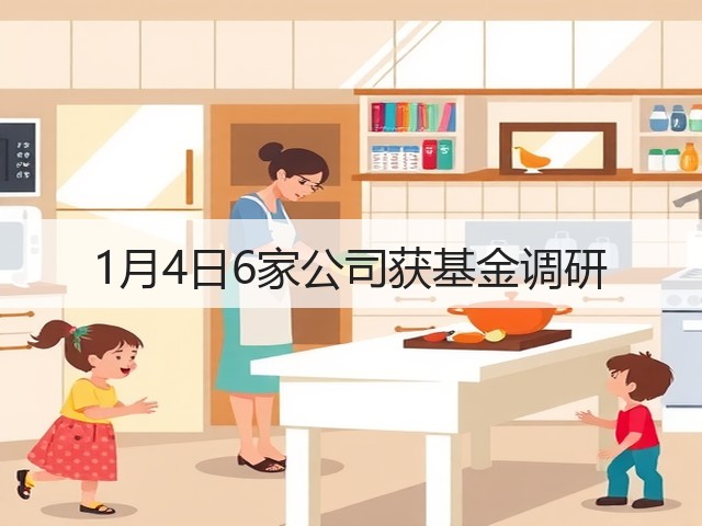 1月4日6家公司获基金调研(图3) 1月4日6家公司获基金调研(图3)