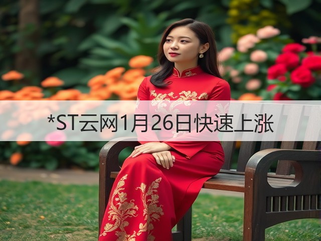*ST云网1月26日快速上涨(图3) *ST云网1月26日快速上涨(图3)