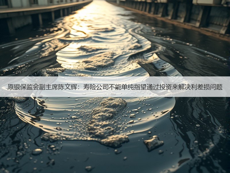 原银保监会副主席陈文辉：寿险公司不能单纯指望通过投资来解决利差损问题