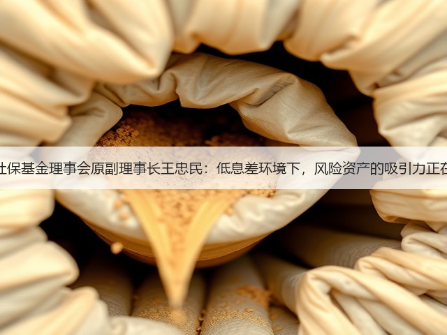 全国社保基金理事会原副理事长王忠民：低息差环境下，风险资产的吸引力正在上升(图1)