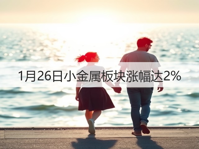 1月26日小金属板块涨幅达2%(图2)