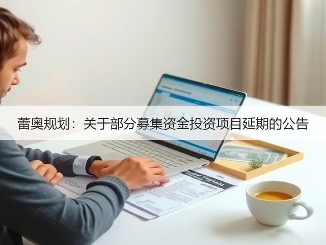 蕾奥规划:关于部分募集资金投资项目延期的公告(图1) 蕾奥规划:关于部分募集资金投资项目延期的公告(图1)