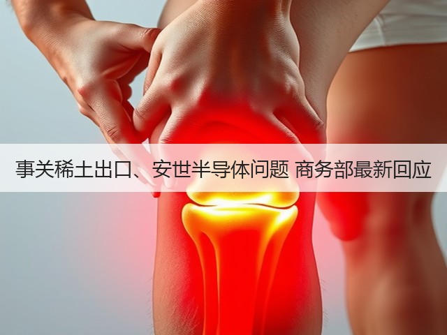 事关稀土出口、安世半导体问题 商务部最新回应(图2)