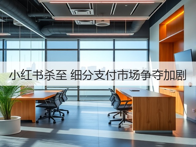 小红书杀至 细分支付市场争夺加剧(图2) 小红书杀至 细分支付市场争夺加剧(图2)
