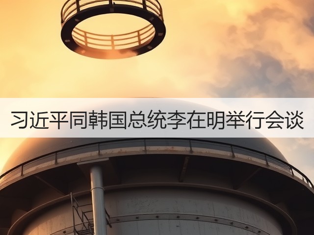 习近平同韩国总统李在明举行会谈(图2) 习近平同韩国总统李在明举行会谈(图2)