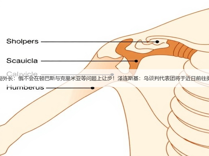 俄副外长：俄不会在顿巴斯与克里米亚等问题上让步！泽连斯基：乌谈判代表团将于近日前往美国