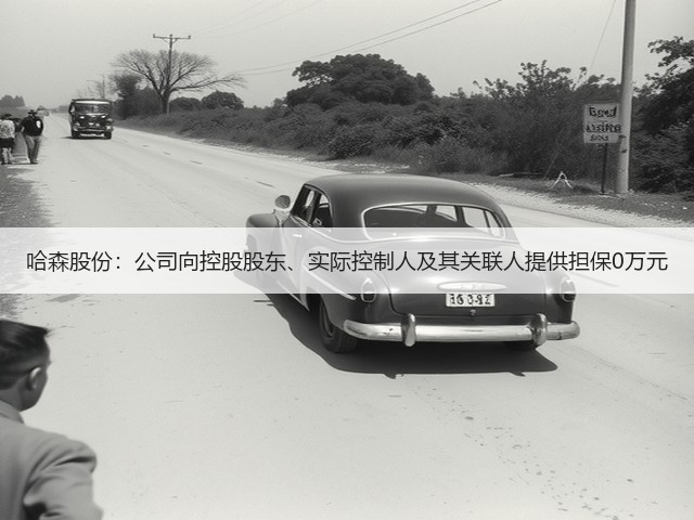 哈森股份：公司向控股股东、实际控制人及其关联人提供担保0万元(图2)